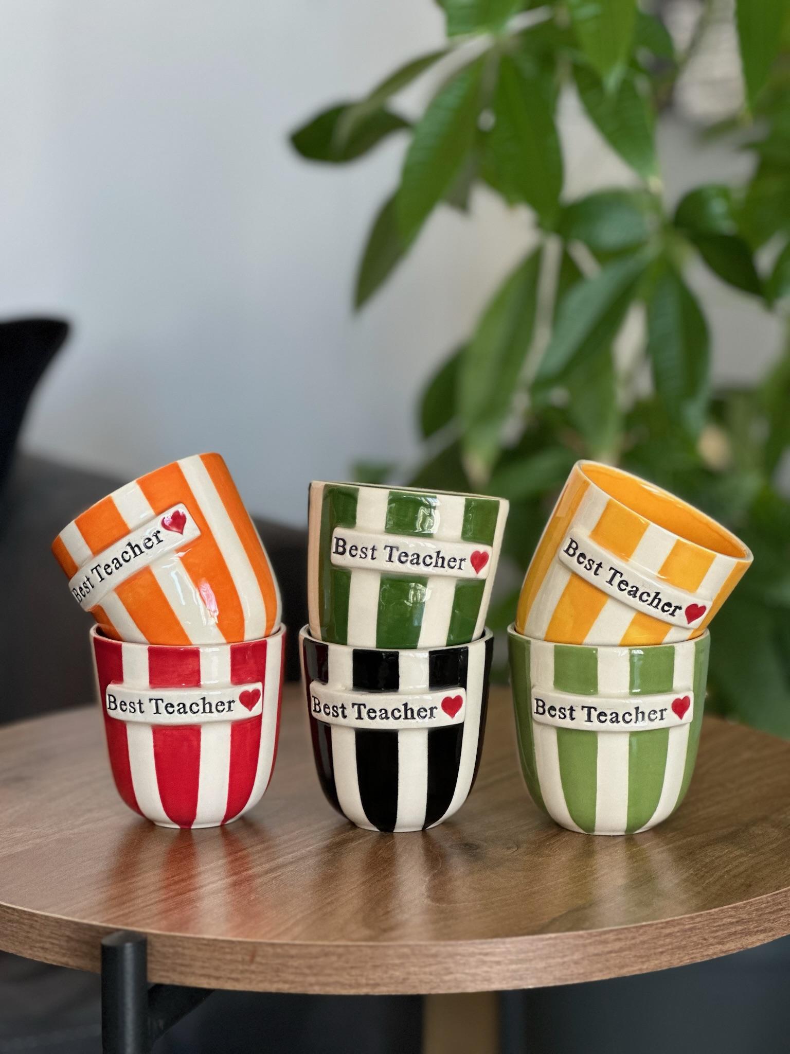 'Best Teacher' Bardak