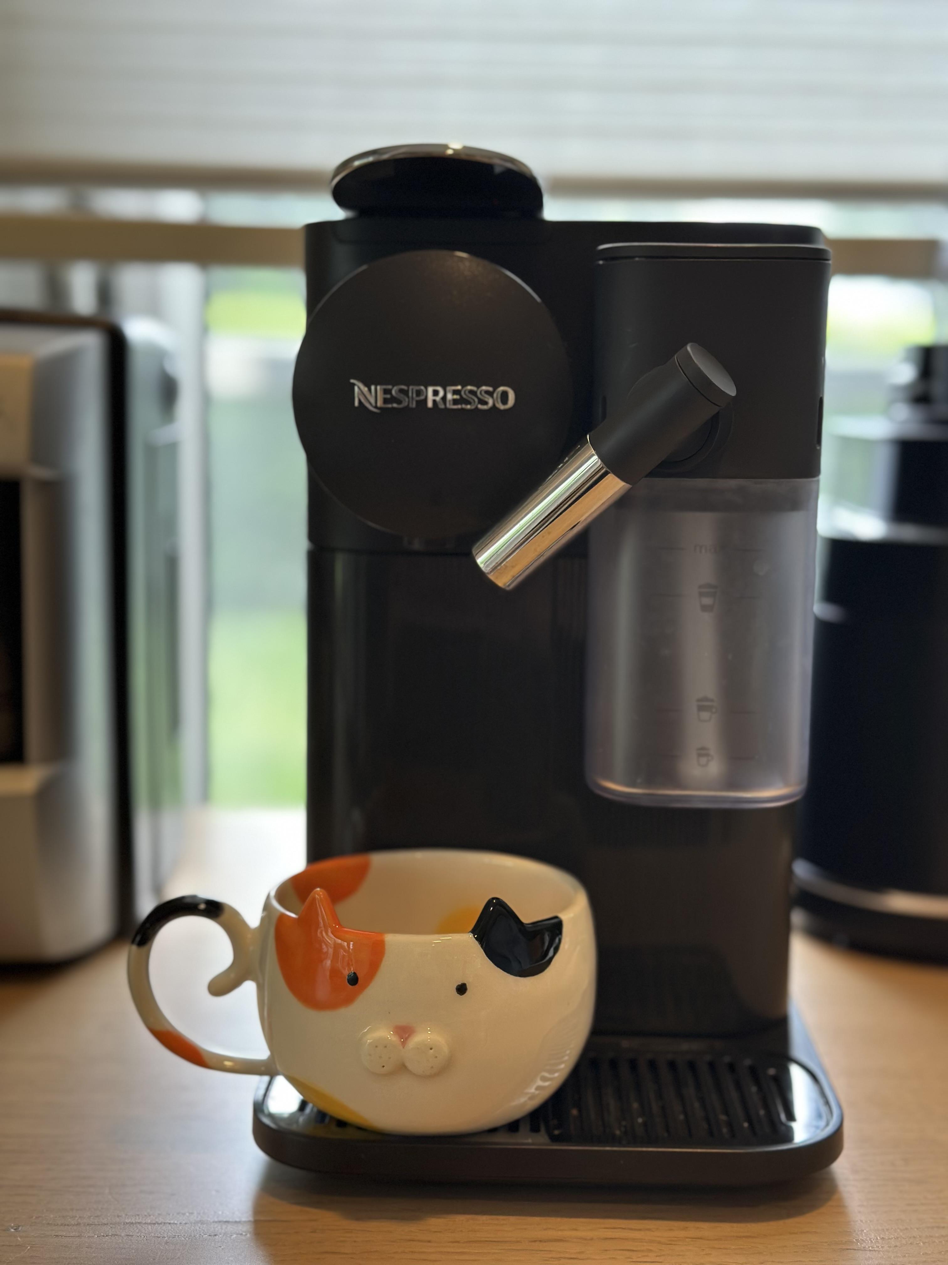 Calico Cat Mug